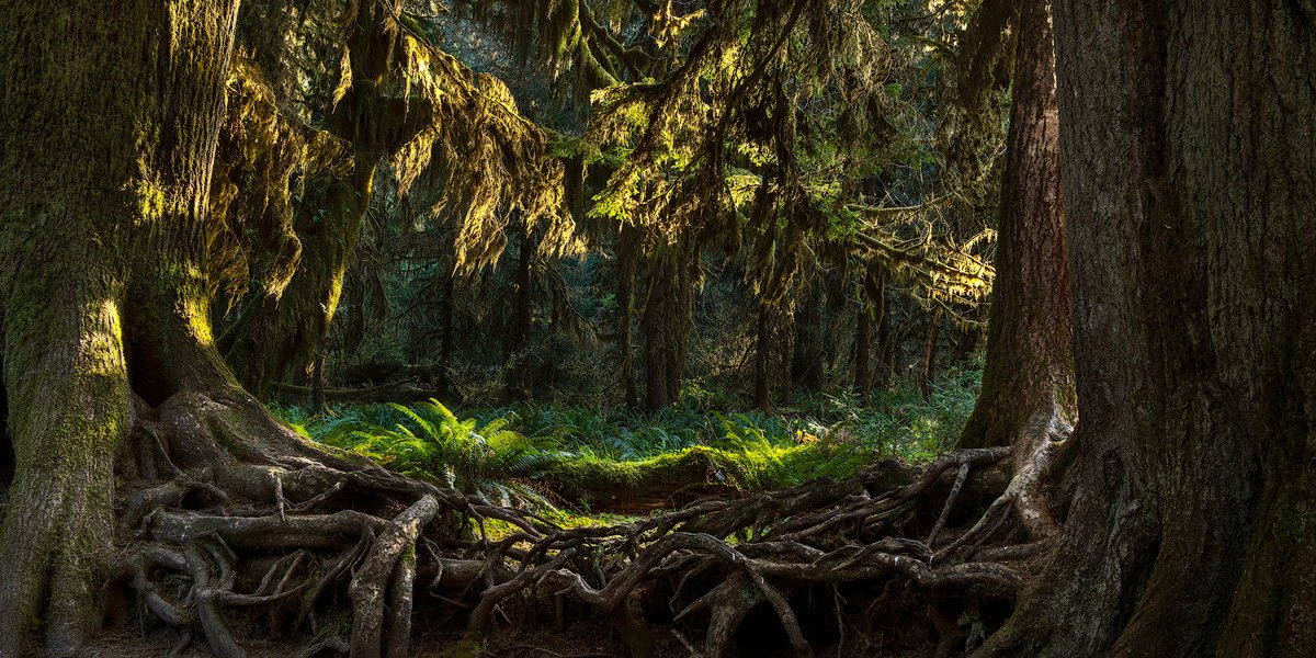 🎡 아와지 월드 파크 오노코로 이미지 7